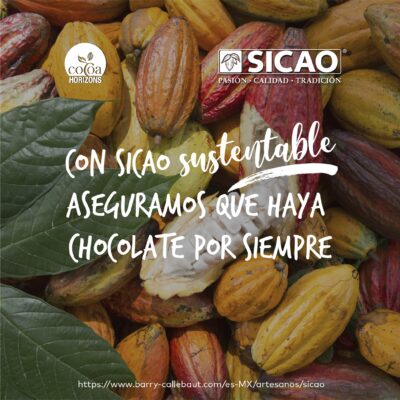 Con Sicao Sustentable