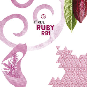 Back Ruby para eventos