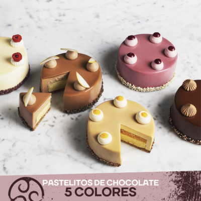 Pastelitos de chocolate 5 colores Callebaut