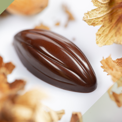 Bonbon de Gianduja_Chef Alberto Simionato