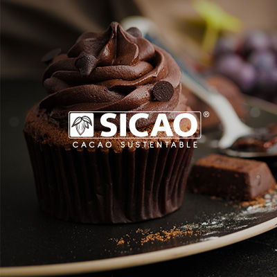 portada sicao