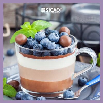 SICAO_06-P4-1.1-AJU5